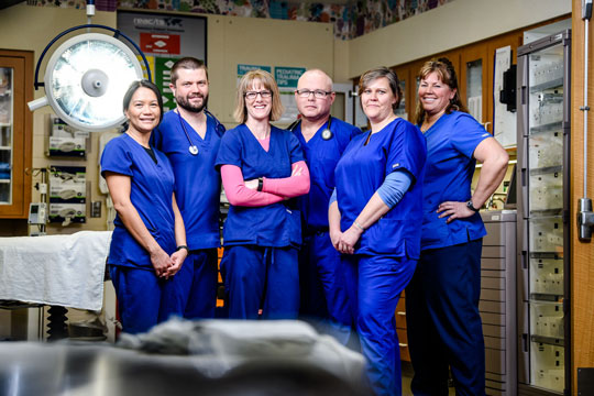group of nurses in emergency room