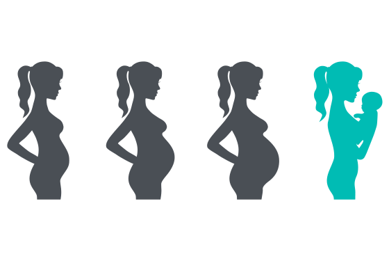 Illustration of the phases of pregnancy to birth